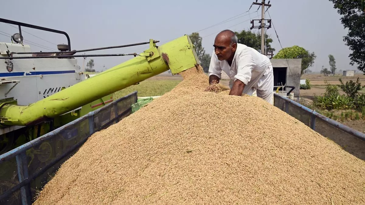 Government Decides To Sell Rice From Fci At Kg For Ethanol The