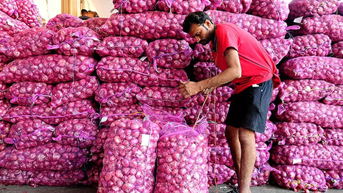 Why Do Onion Prices Fluctuate The Hindu BusinessLine