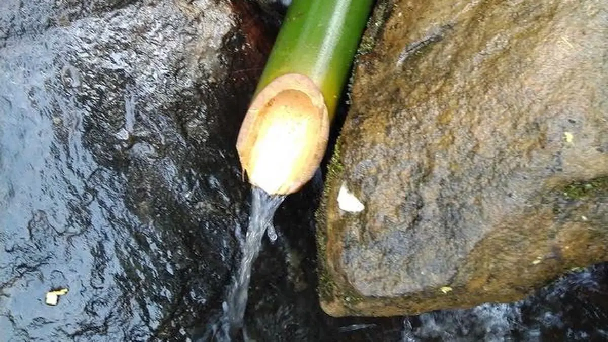 Bamboo drip irrigation system in the Northeast is environment friendly