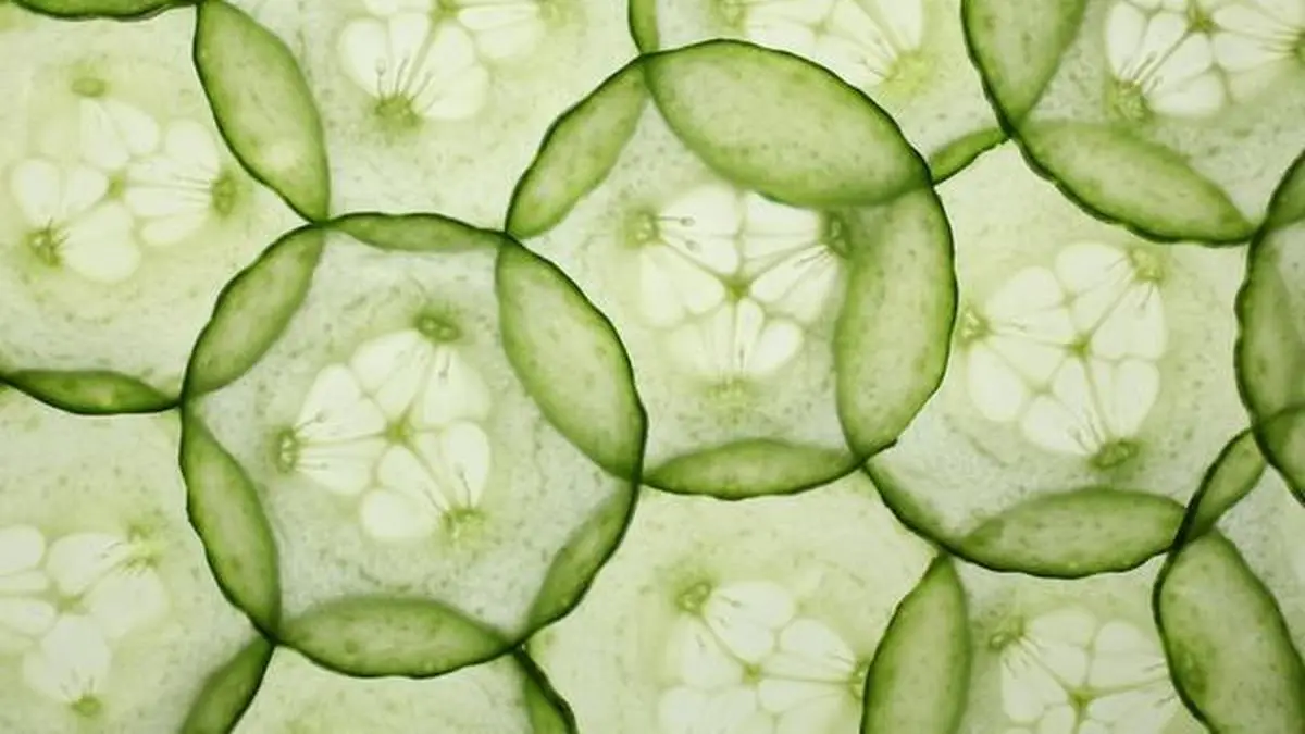 IIT Kharagpur researchers develop ecofriendly food packaging material