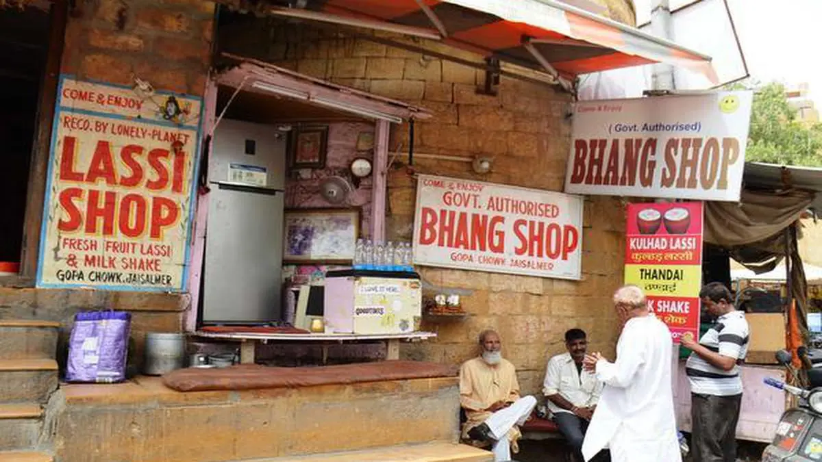 Food trail in Jaisalmer - The Hindu BusinessLine