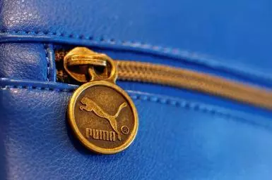 Puma ropes in Washington Sundar, Devdutt Padikkal as brand ambassadors -  The Hindu BusinessLine