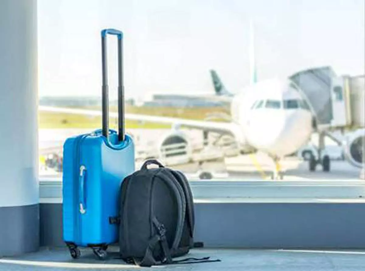 Hand baggage cheap for flights