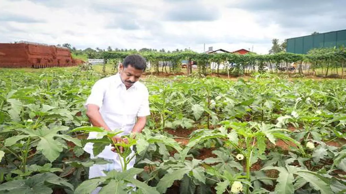 Organic Farming A Solution Towards Sustainable Agriculture The Hindu Businessline 