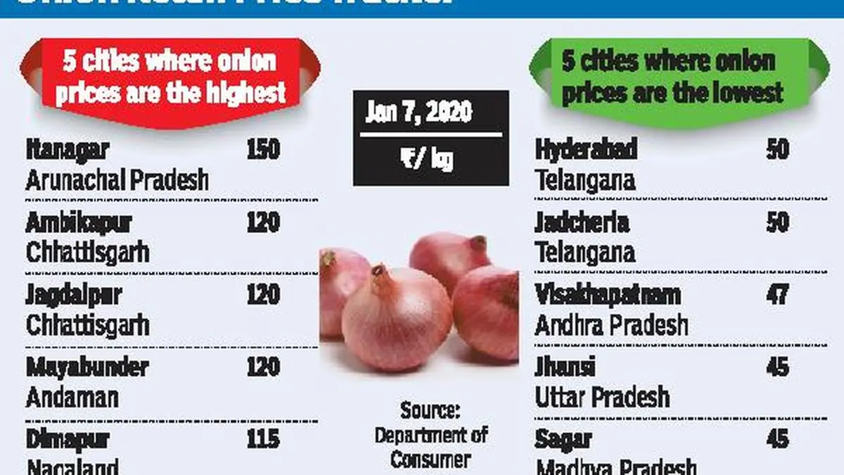 Imported onions to be cheaper The Hindu BusinessLine