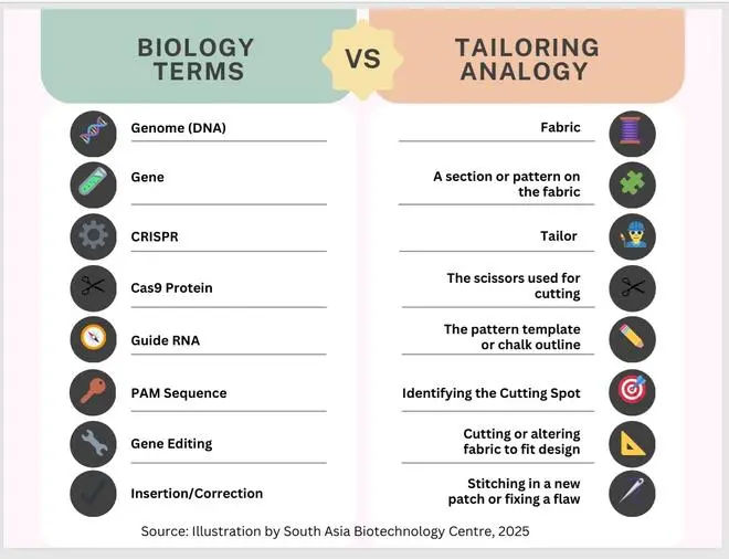 Table 1. Comparison of genome processing tools with adjusting toolkit Table 1. Comparison of genome processing tools with adjusting toolkit