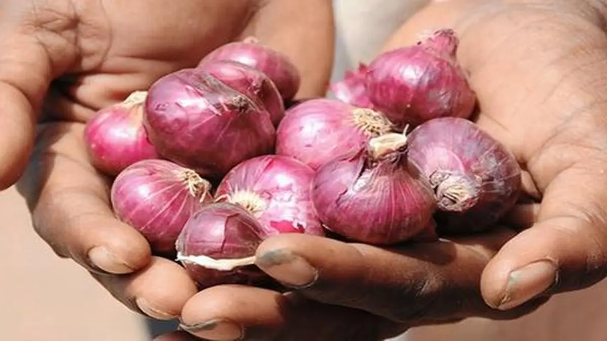 Tamil Nadu government launches onion sales through farm fresh outlet at
