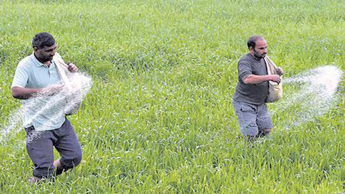 Fertiliser Ministry Hikes Sale Limit On Subsidised Nutrients To