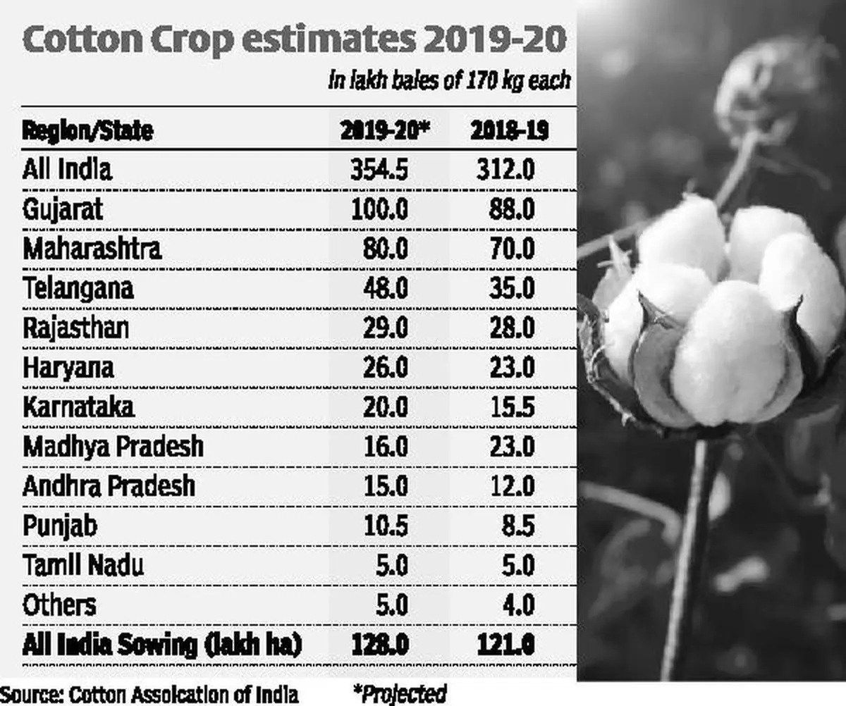 Cotton output for 2019-20 projected at 354.5 lakh bales - The Hindu  BusinessLine