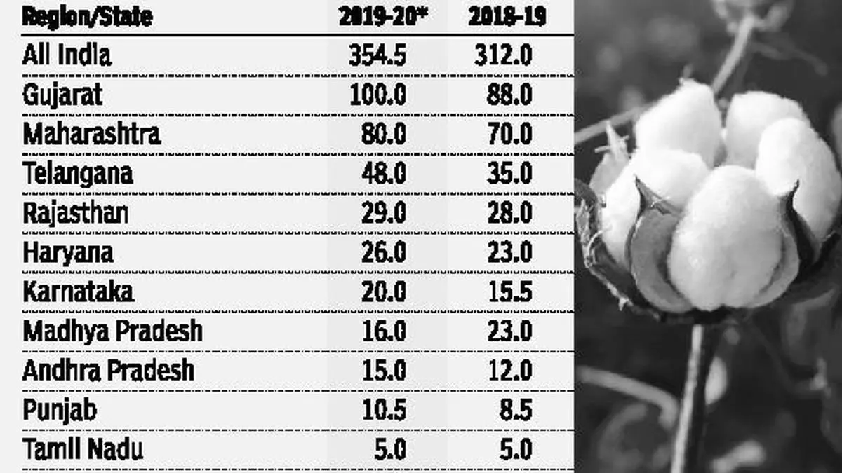 Cotton output for 201920 projected at 354.5 lakh bales The Hindu