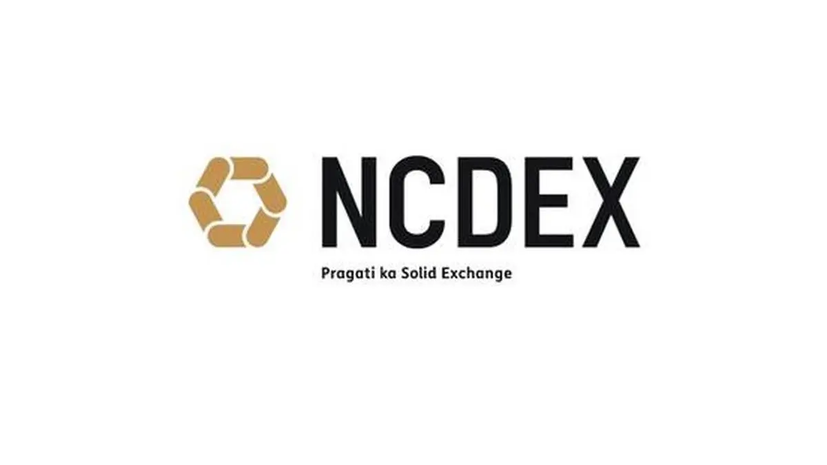 NCDEX ties up with Skymet for derivative trading on weather index - The  Hindu BusinessLine