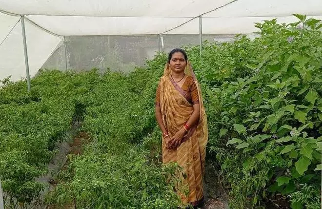 Triveni Khairwar with her net house model