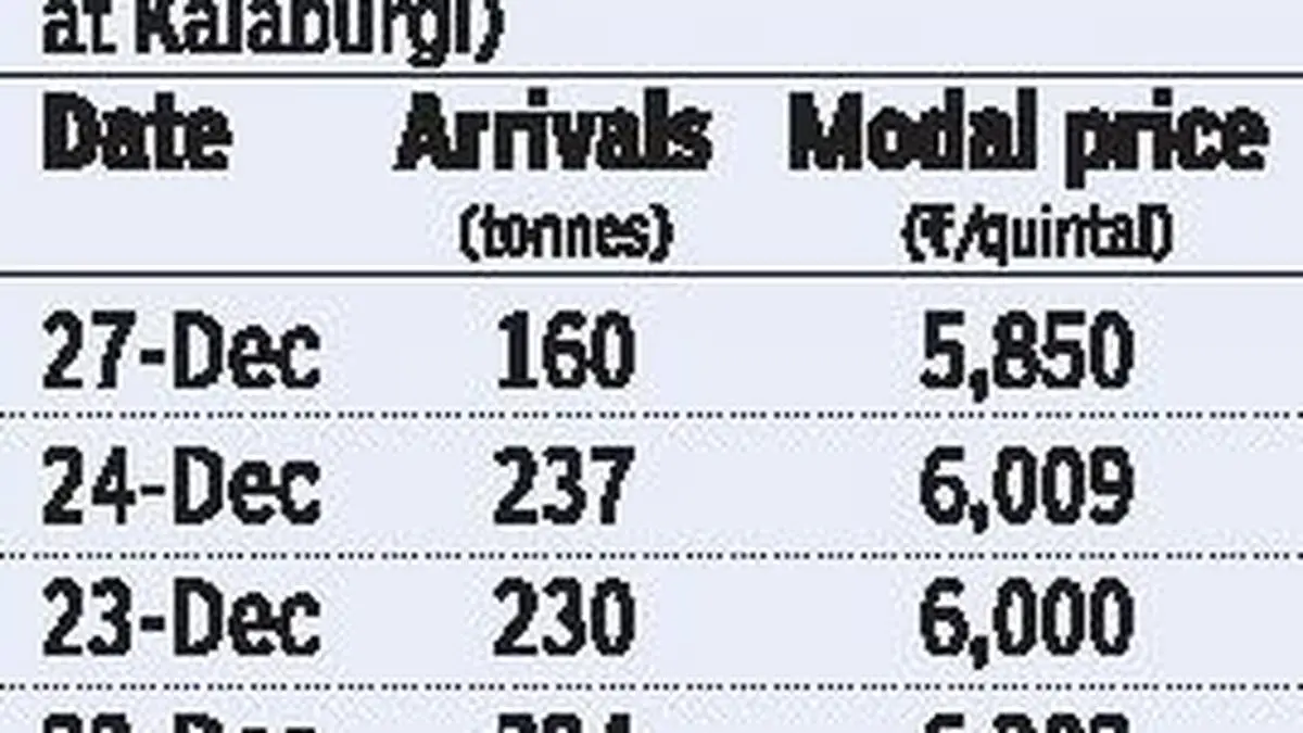 Tur prices rule below MSP as arrivals rise The Hindu BusinessLine