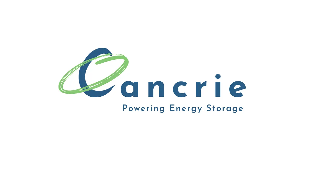 Jaipur-based start-up begins making nanomaterials for batteries from agri wastes