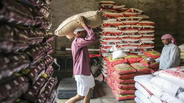 Egypt throws a spatula in Indian Basmati rice exports - The Hindu  BusinessLine