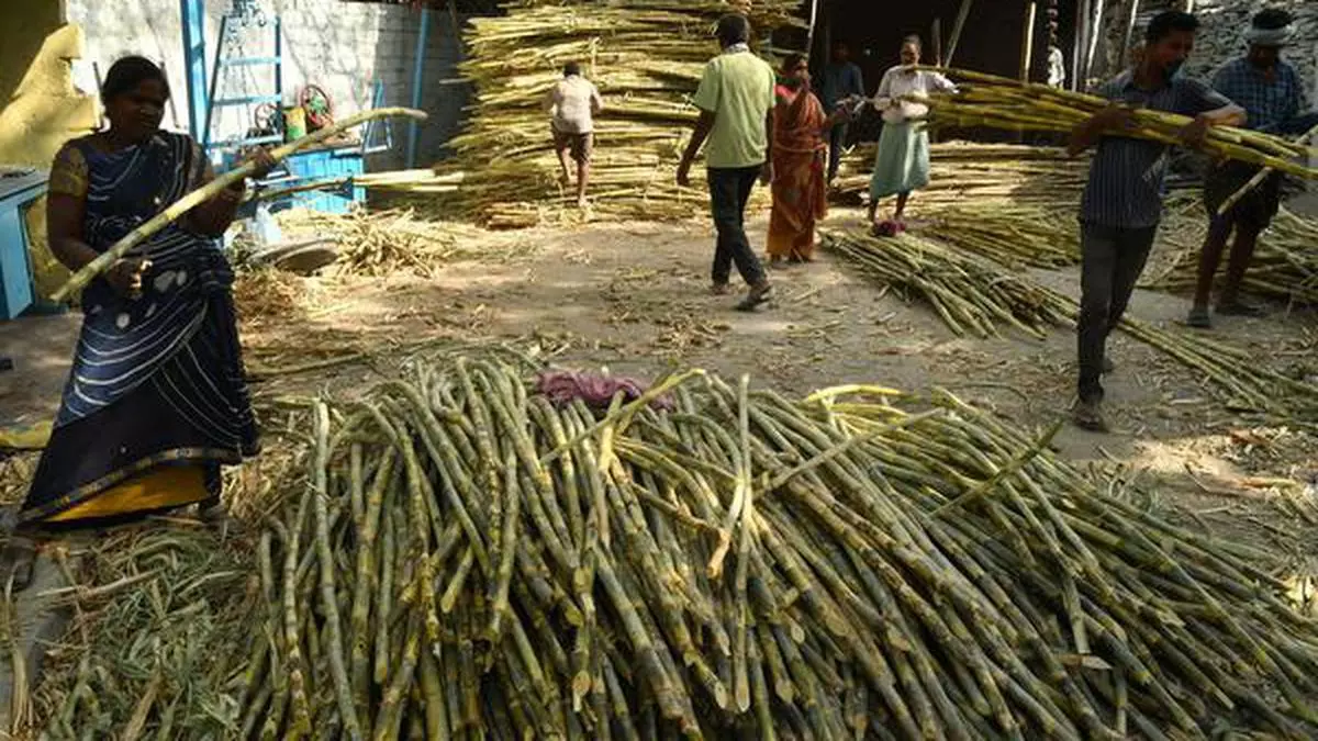 India rules out easing curbs on cane juice for ethanol