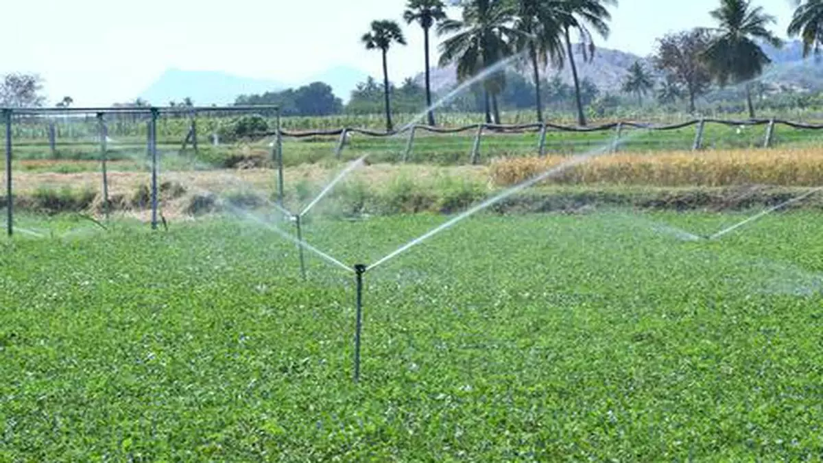 Netafim Introduces Flexi Sprinkler Kit For Indian Farmers - The Hindu 