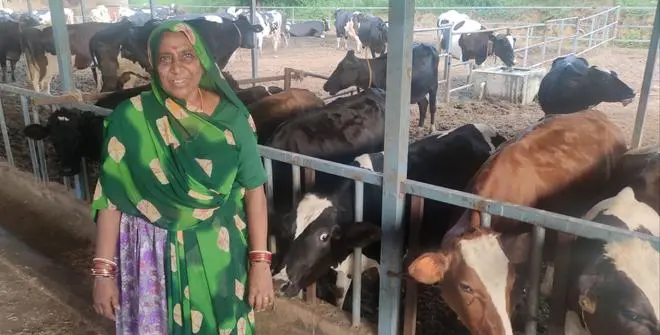 Hansaba Chavda at her cow-shed at Joita village in Vadgam taluka or Banaskantha district. Hansaba Chavda at her cow-shed at Joita village in Vadgam taluka or Banaskantha district.