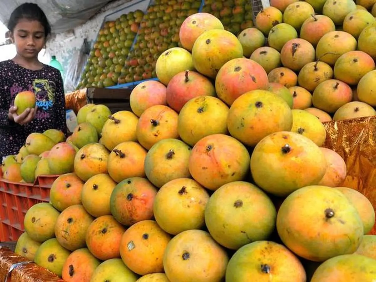 Why mangoes will cost way more this summer The Hindu BusinessLine