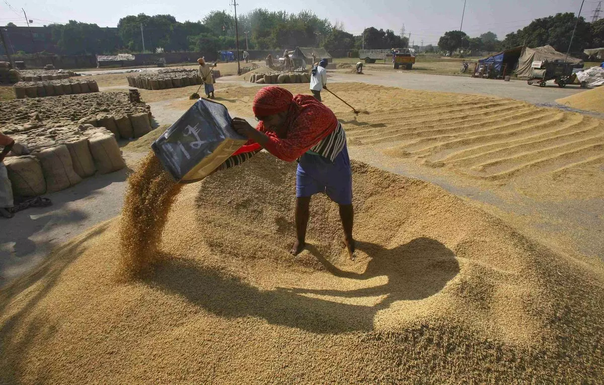 India is open to supplying wheat on a government-to-government basis to neighbours and countries facing food security threats