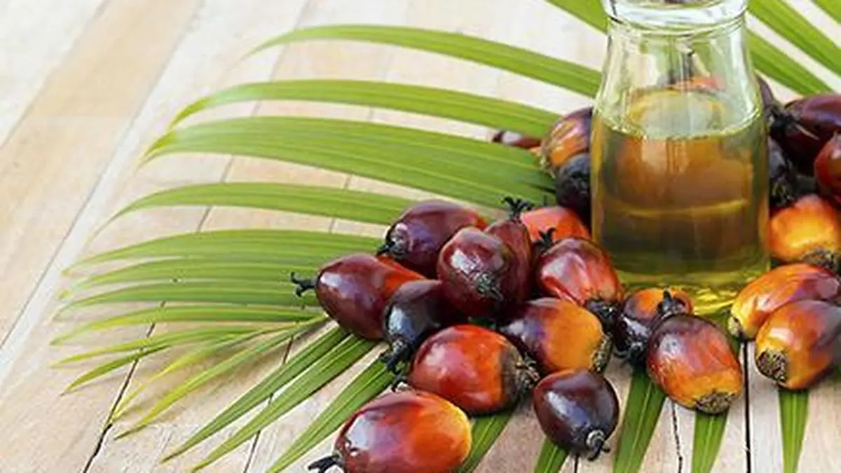 India's March palm oil imports fall 19% to three-month low