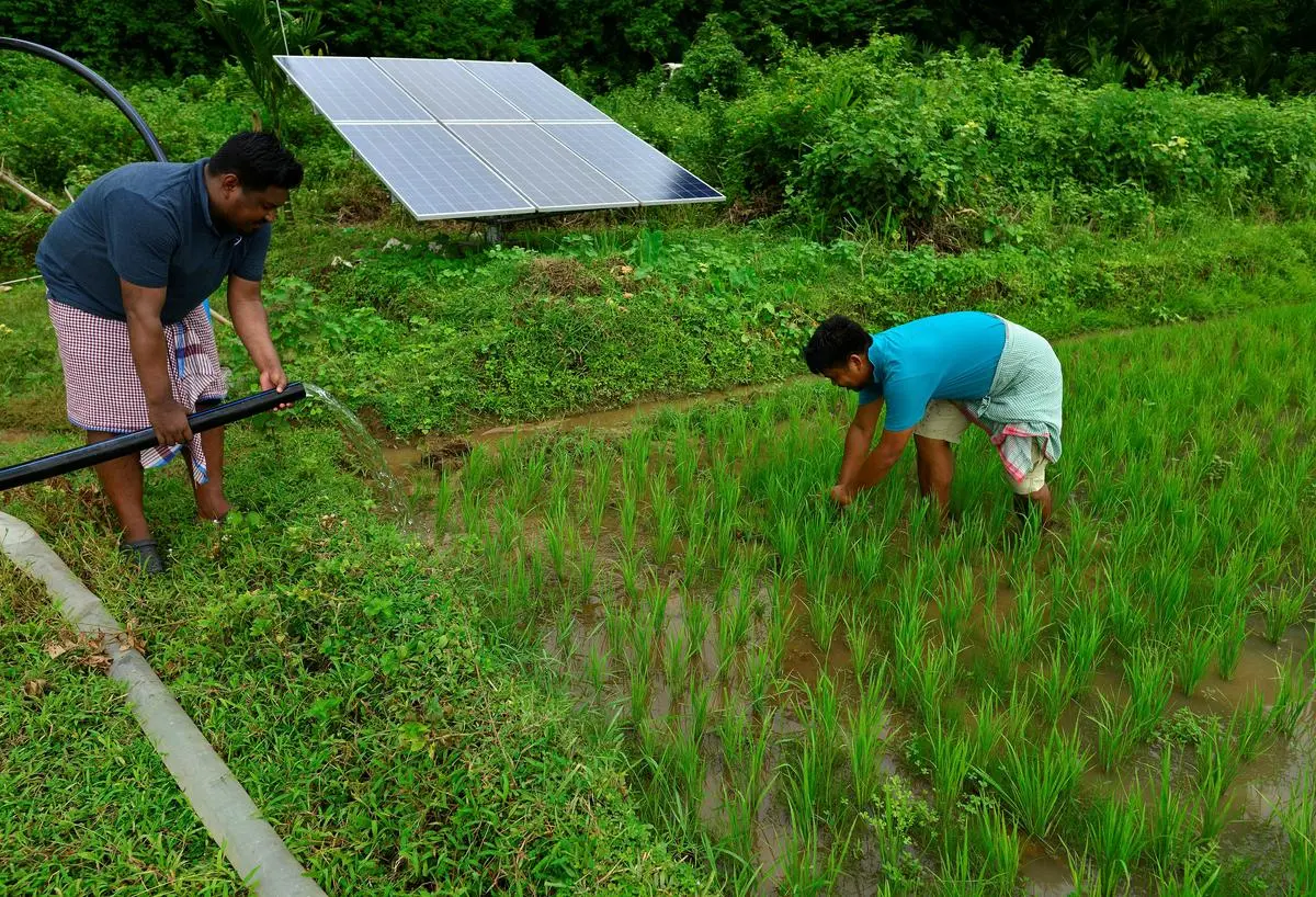 thehindubusinessline.com - Achieving agri-energy security through PM-Kusum