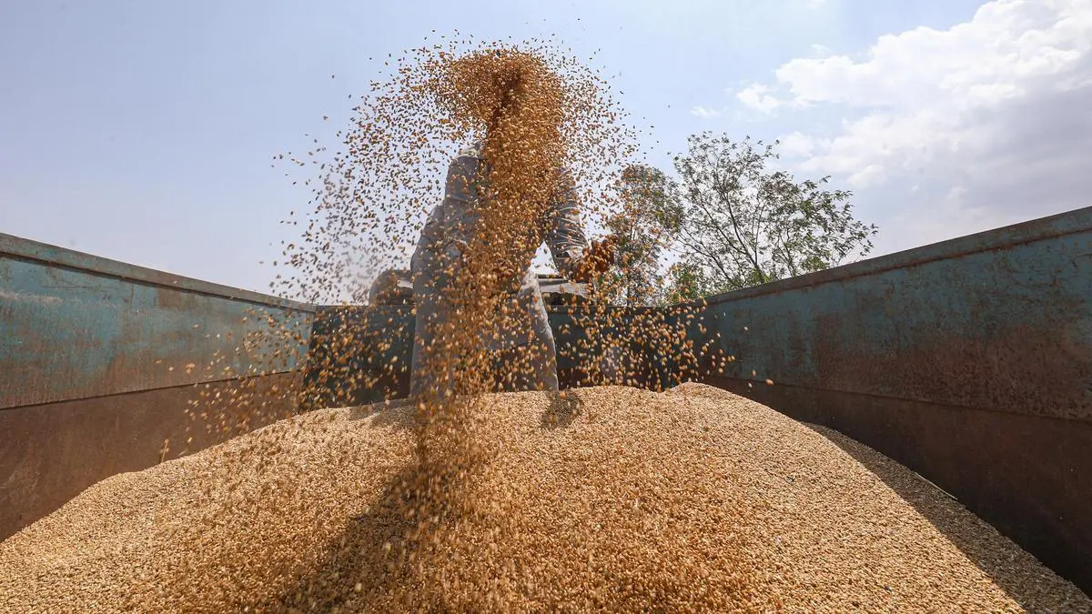 India’s move to export 5 mt wheat unlikely to impact global market