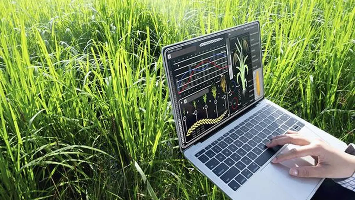 Leveraging technology to enable real-time crop monitoring and strengthen farmer incomes