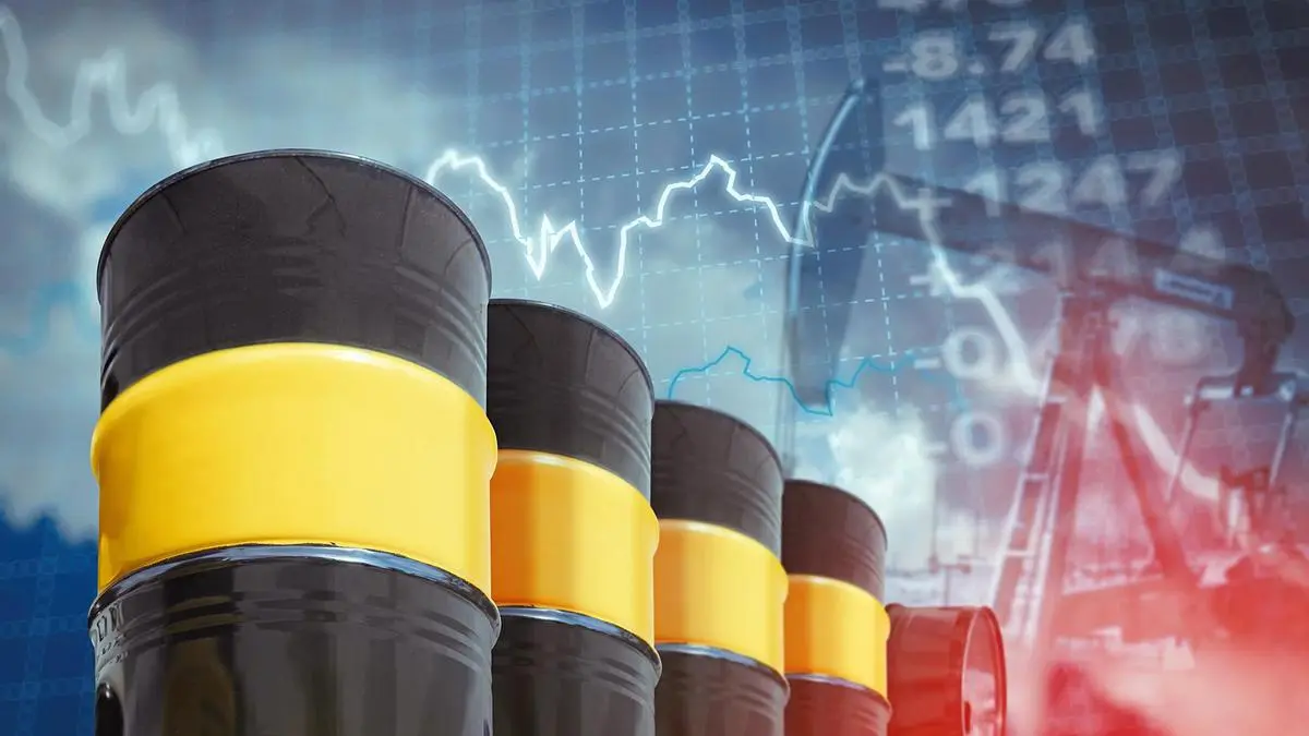 Centre says it shielded Indian consumers from global crude price shock; expanded sourcing and kept distribution stable amid West Asia disruptions