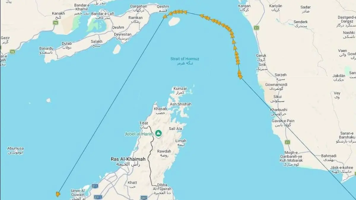 Fire Breaks Out on Bulk Carrier Owned by Korean Shipping Company Near UAE