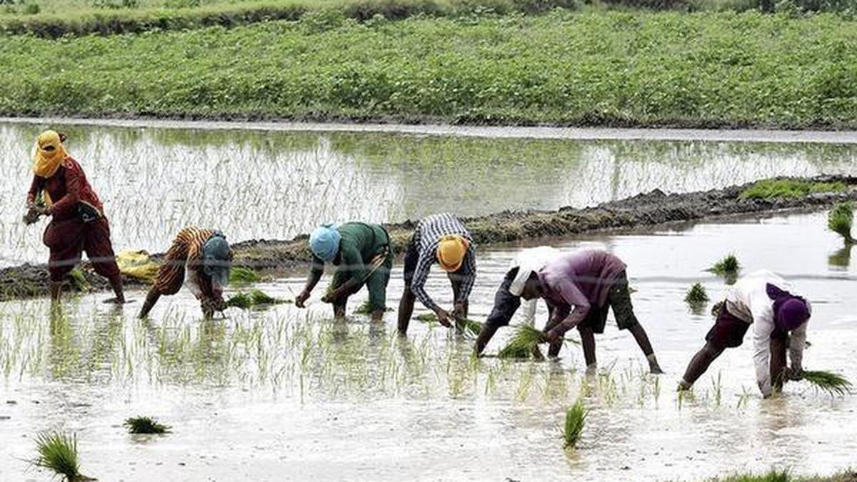 Future inflation trajectory will be shaped by pass thru of higher energy prices, progress of Kharif sowing