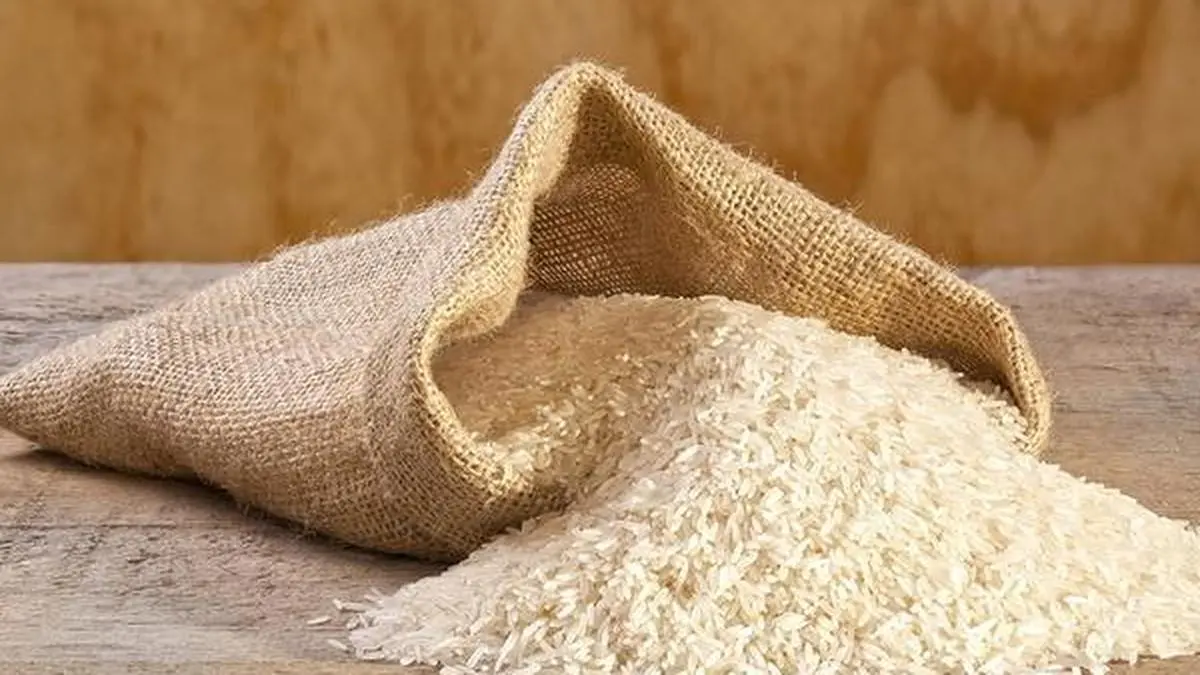 W Asia crisis: Rice exports dip 7.5% to $11.53 bn in 2025-26