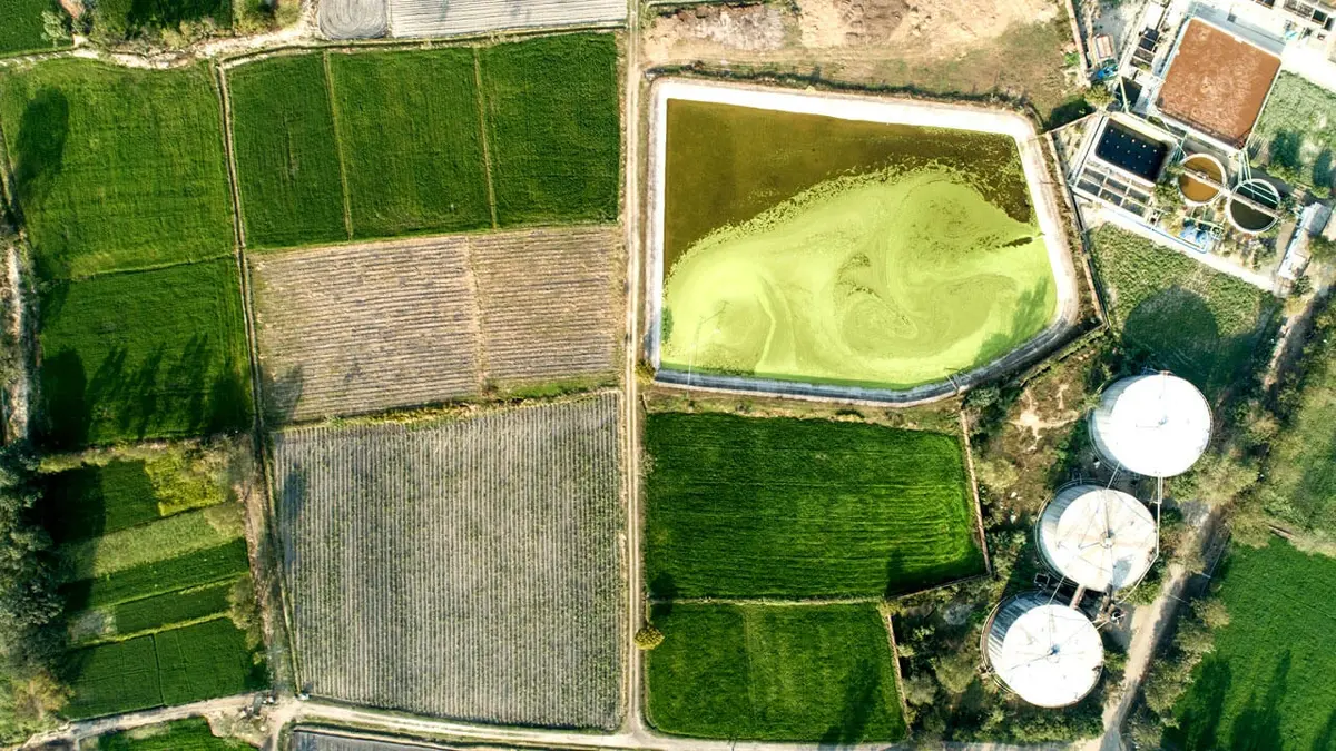 Balrampur Chini Mills to invest ₹160 cr in Lactogypsum processing plant