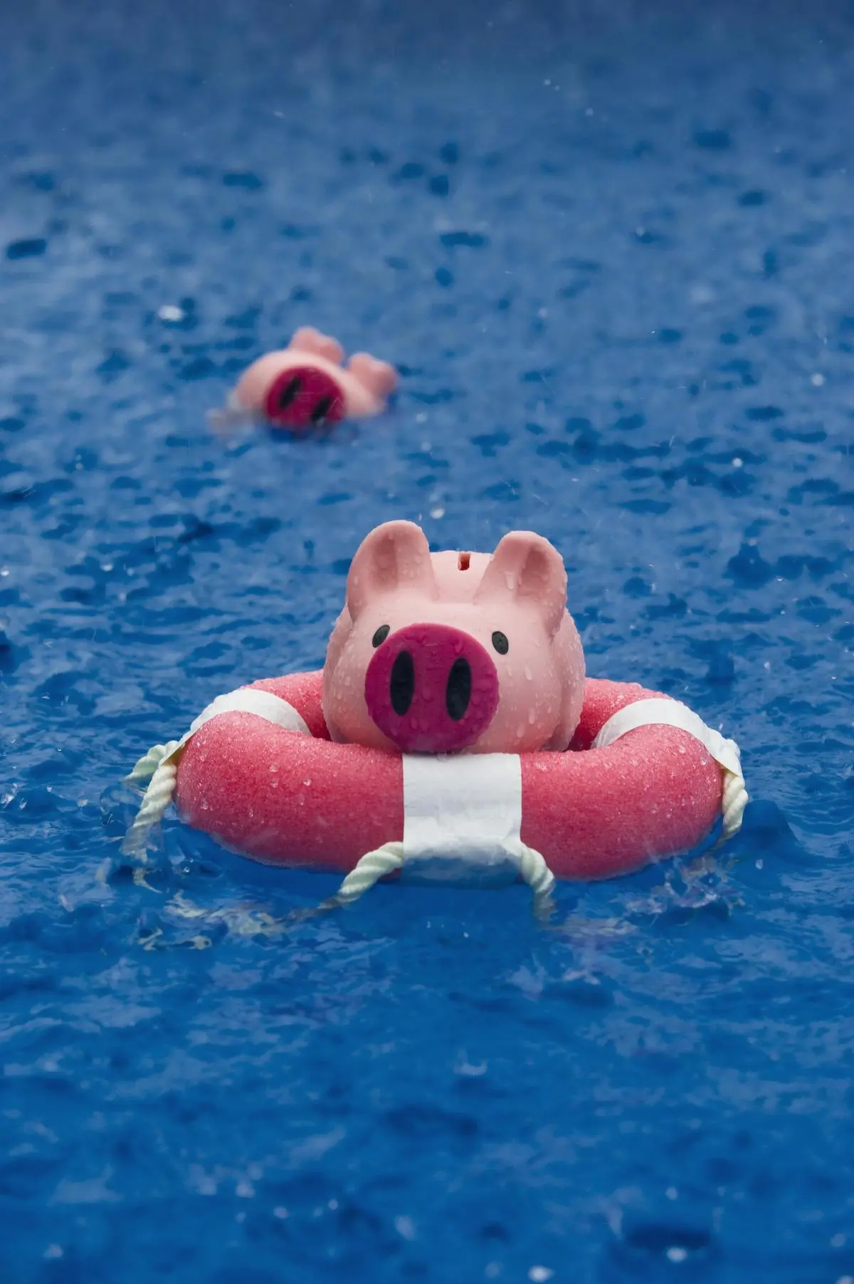 thehindubusinessline.com - Financial Security In The Age of Job Volatility