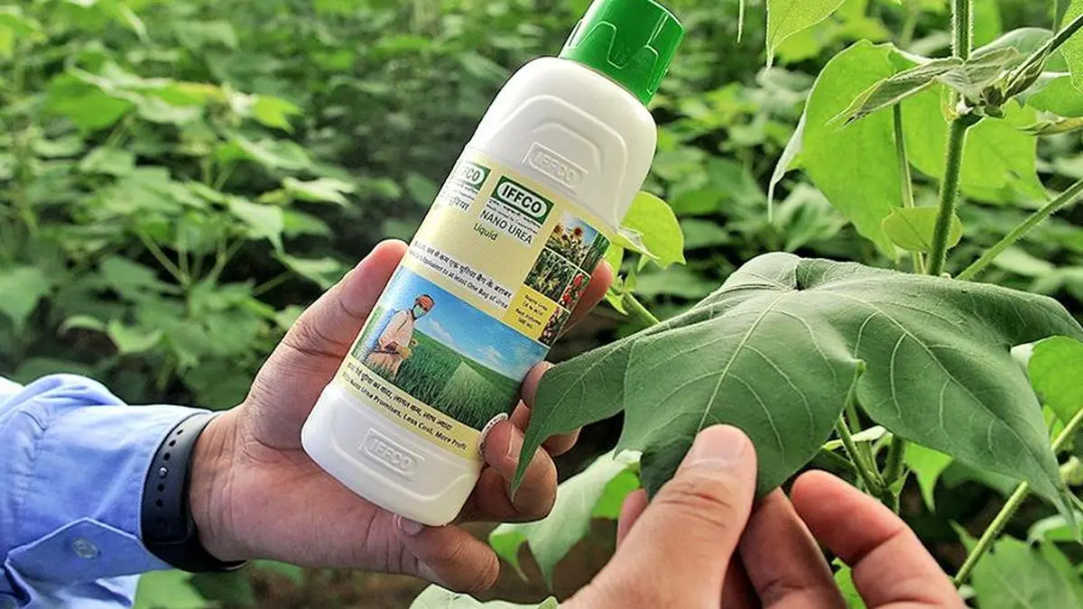 Research on use of nano urea by the Punjab agri varsity, other institutions  shows impact on grain yield, quality