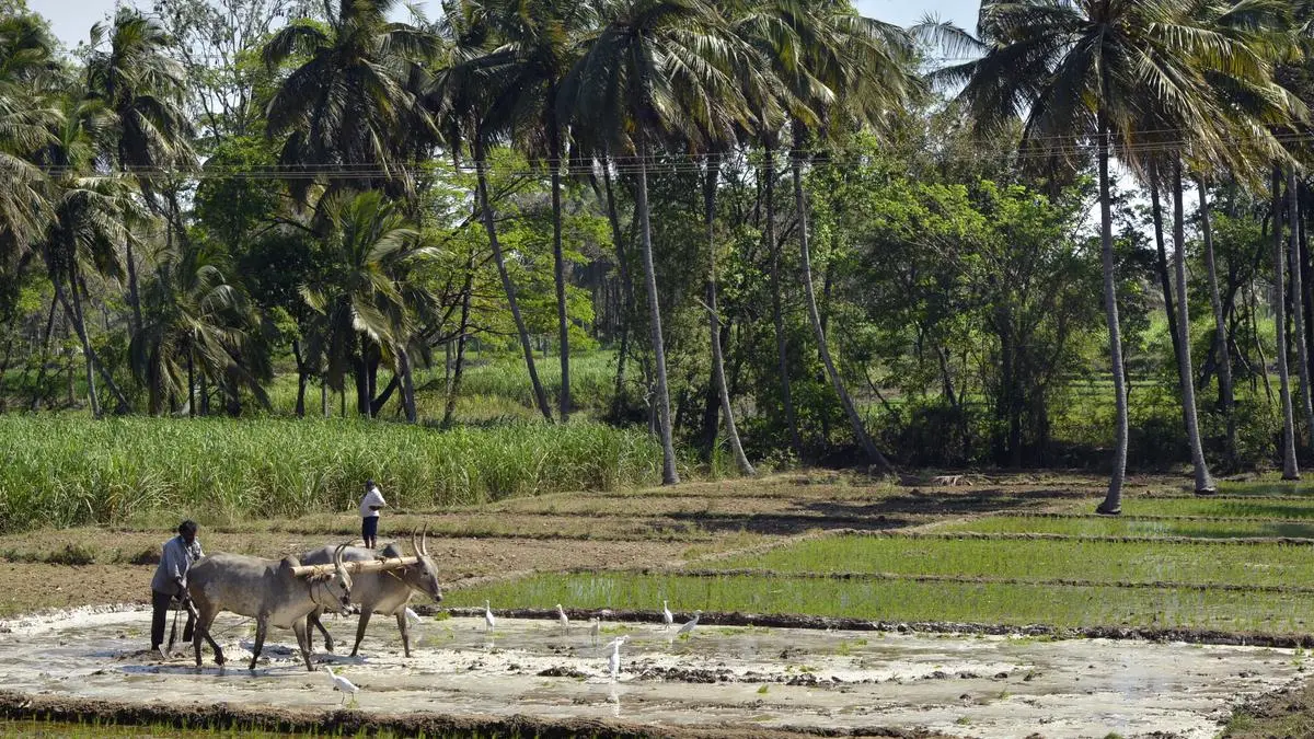 A resilient environment is key to sustainable agriculture