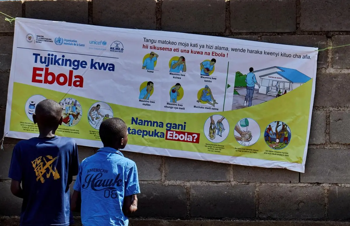 thehindubusinessline.com - India, Africa Union postpone New Delhi summit amid Ebola outbreak