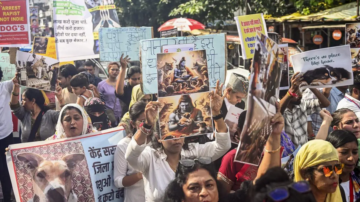 Tired of protests, activists offer prayers to oppose SC order on shifting stray dogs to shelters