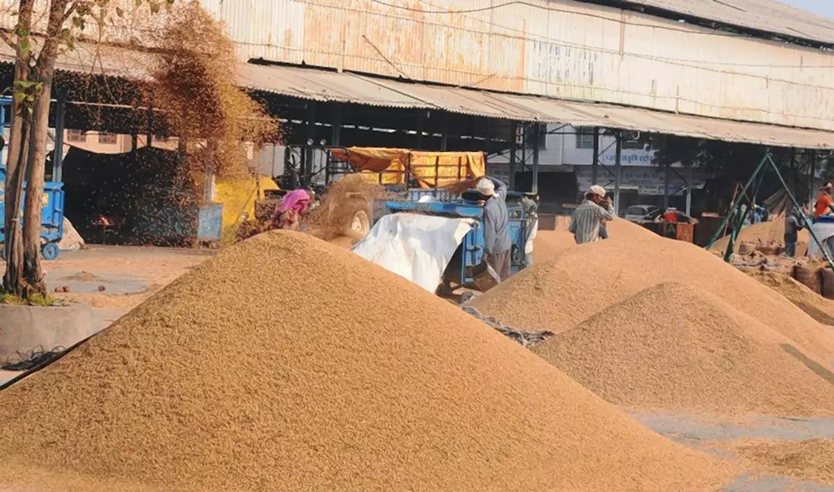 The decision has not convinced many since the Centre has not been taken into confidence over the move and it leaves a bad impression on the rest of the Basmati-growing States.