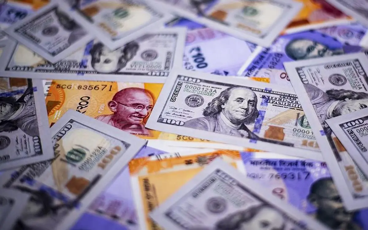 Central banks diversifying forex reserves from USD & Euro to gold and other  currencies: CareEdge - The HinduBusinessLine