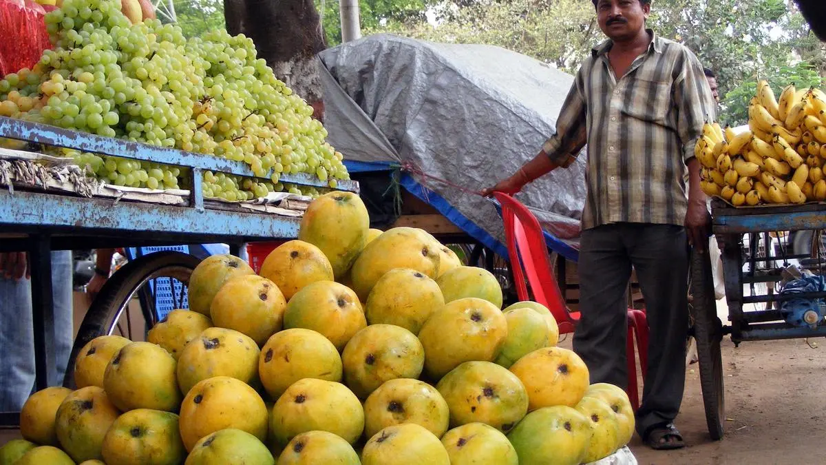 FSSAI directs states to crack down on illegal fruit ripening with calcium carbide
