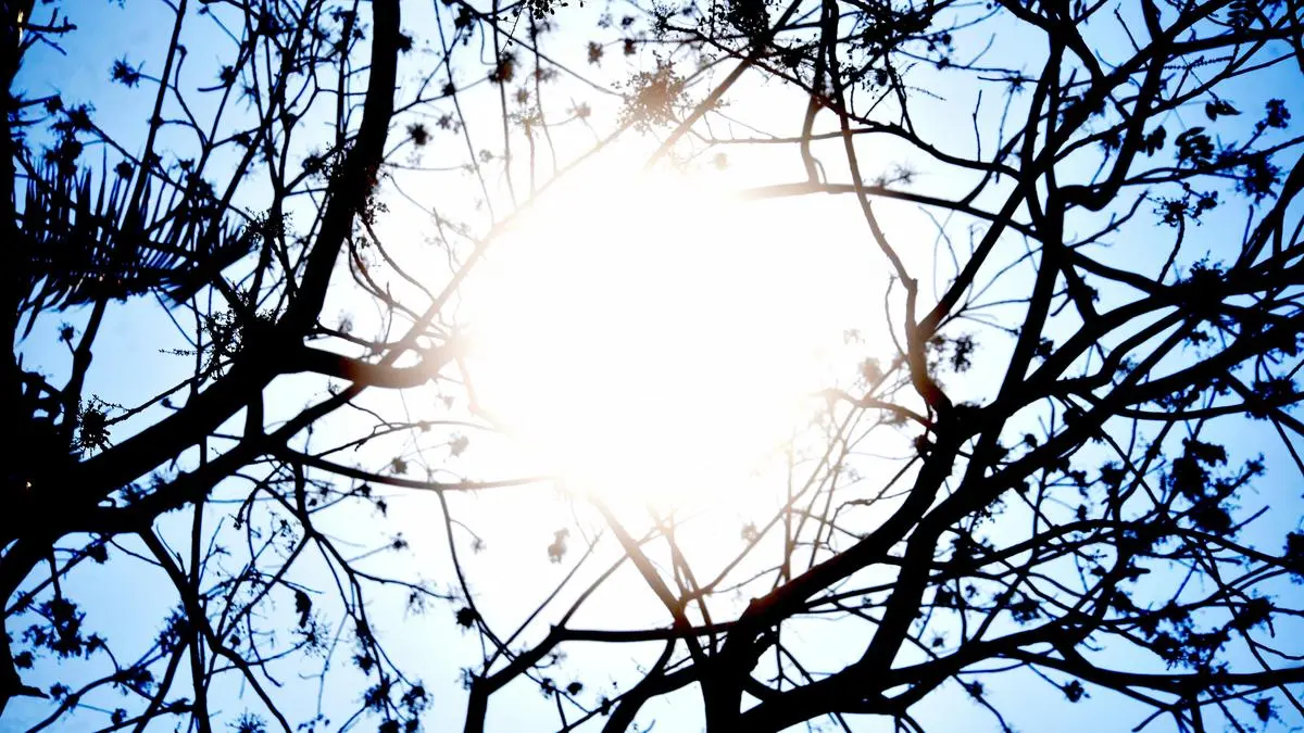 Kerala records high UV index; public advisory issued