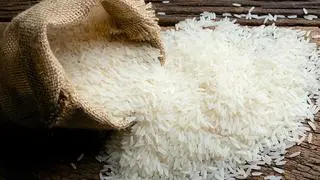 rice in burlap sack rice in burlap sack