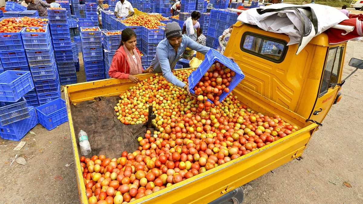 Tomato, onion and potato farmers get only a third of retail price: RBI  study - The Hindu BusinessLine