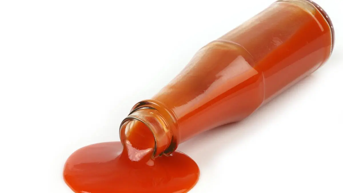 Ketchup Economists The Hindu BusinessLine
