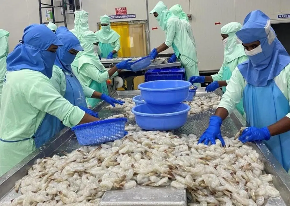 thehindubusinessline.com - India's inland aquaculture output rises 167% as Asia shifts to farmed fish, study finds