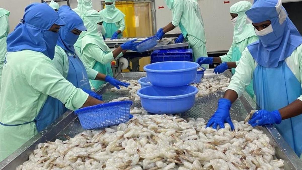 India’s inland aquaculture output jumps 167% as Asia shifts from wild-caught to farmed fish