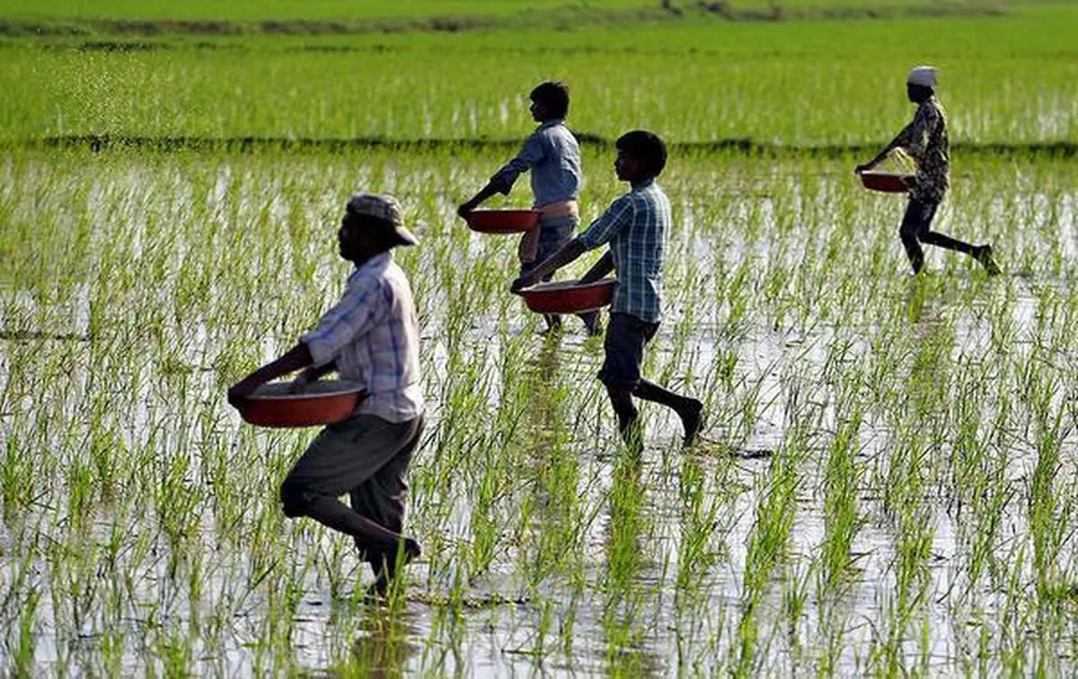 thehindubusinessline.com - Attaining 'Atmanirbharta' in fertilizer sector: Economics of large-scale transition to natural farming