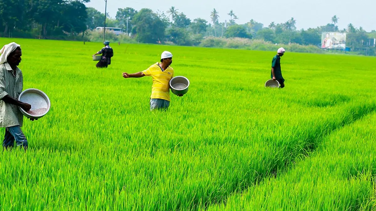 Agriculture processing industry seeks modernisation incentives, tax breaks, export boosts in Budget