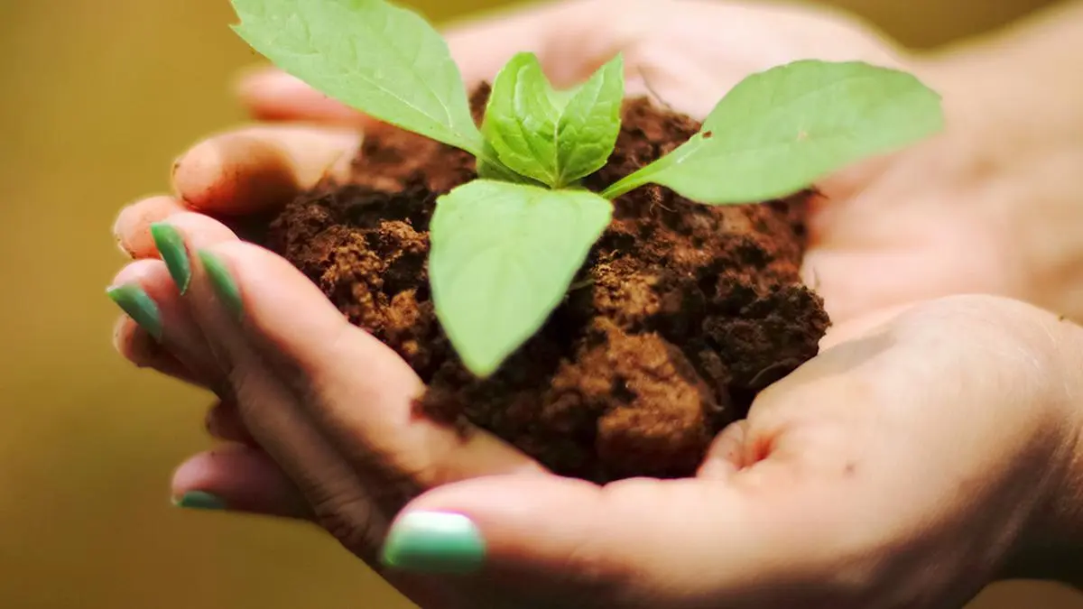 Let’s nourish the soil to heal the planet